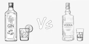 Gin Vs Vodka